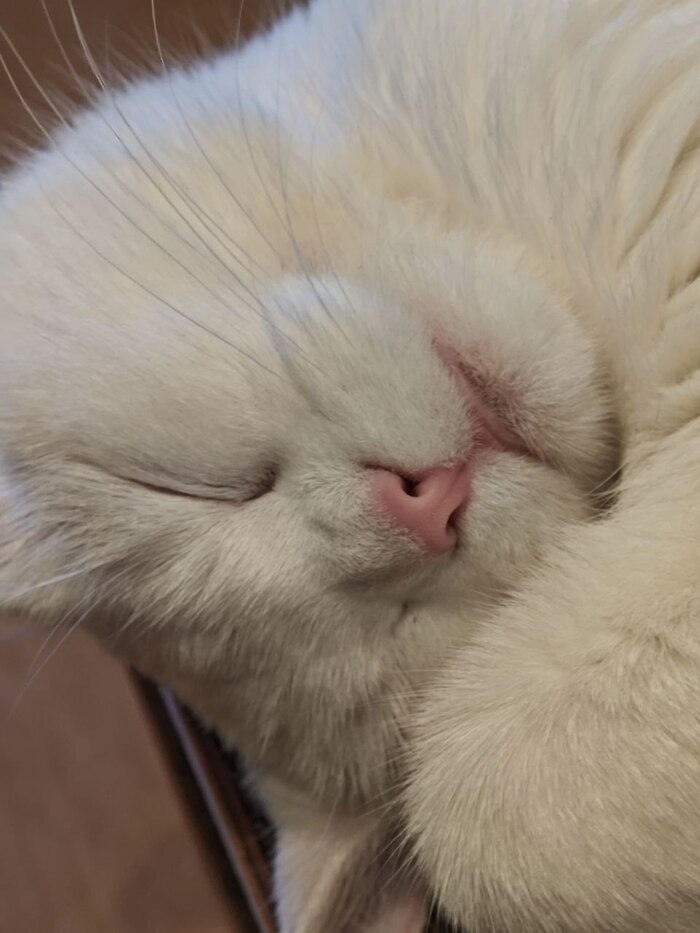 Уголёк желает всем добра и отличных выходных!