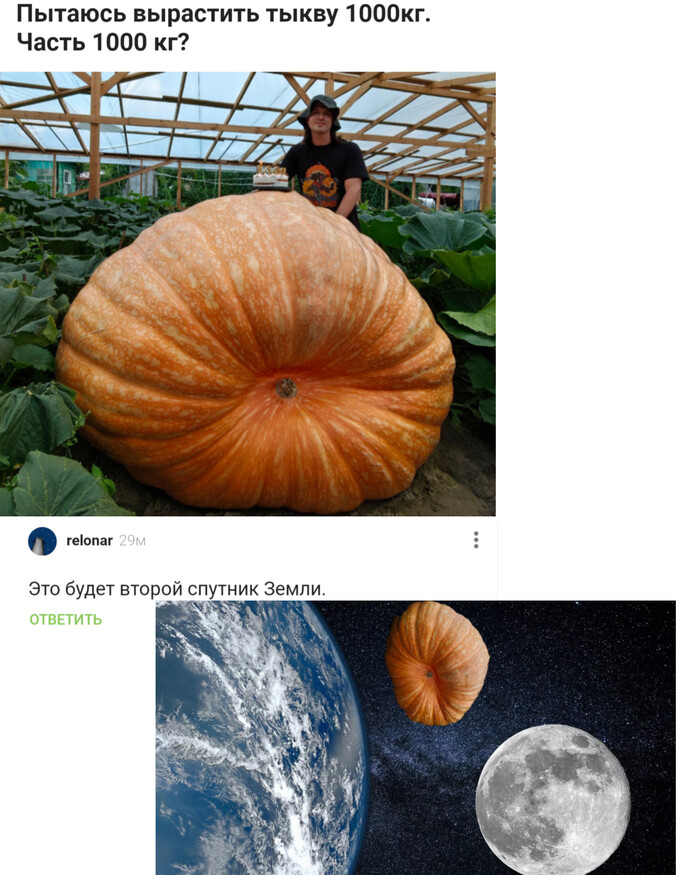      , , , ,   ,   ,  , , , 