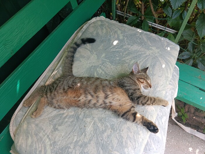 ��� ����...