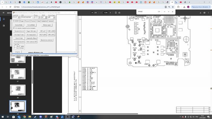 ,   :  Siemens C65     , , , Siemens, , , , , ,  , , ,  , 