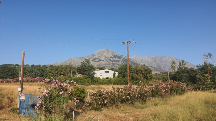            . - ( 2500  ,  )       .