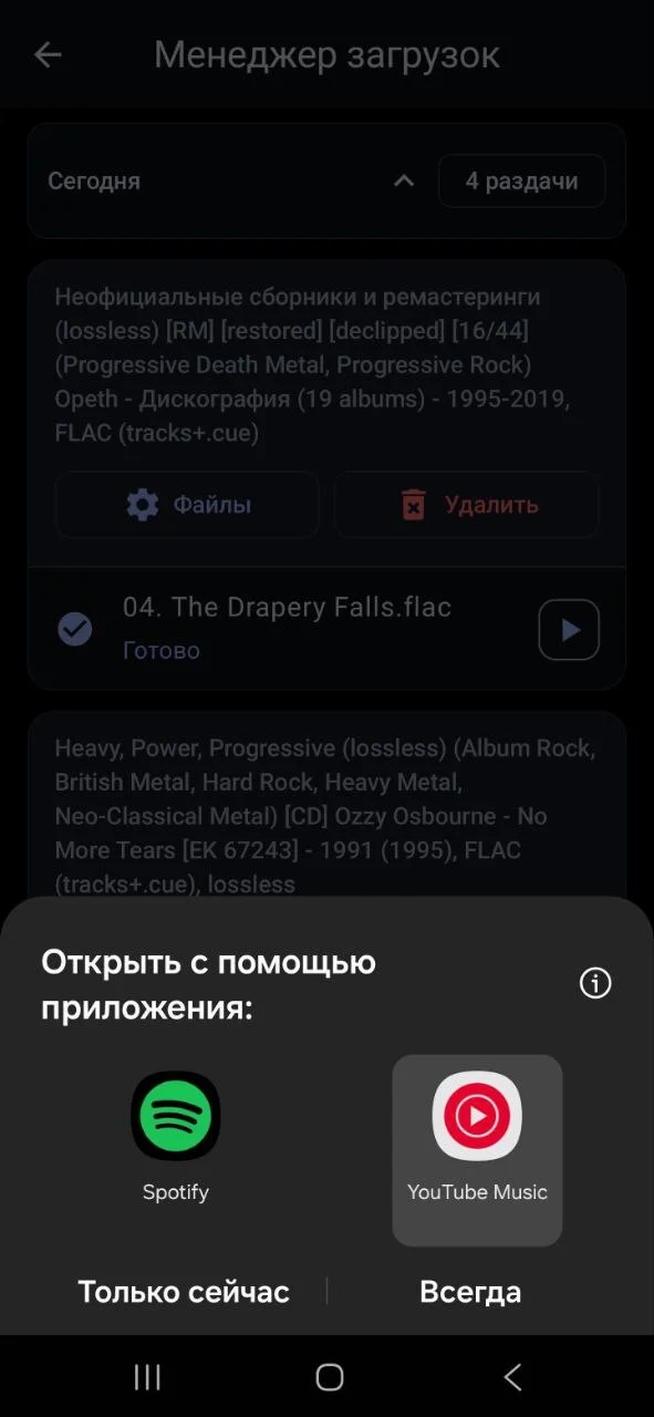 How I Stopped Relying on Music Streaming and Started Listening to Lossless via DAC - Android, Longpost, Hobby, Programming, My, Music, Appendix, Program, Torrent