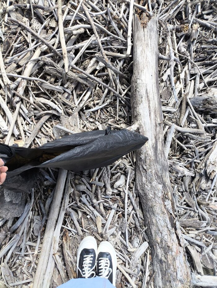 Но два пакета веток наберу