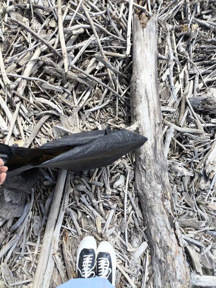 Маленькая жизнь в маленьком селе Республика Алтай, Горы, Планы на лето, Лето, Чемальский район, Длиннопост