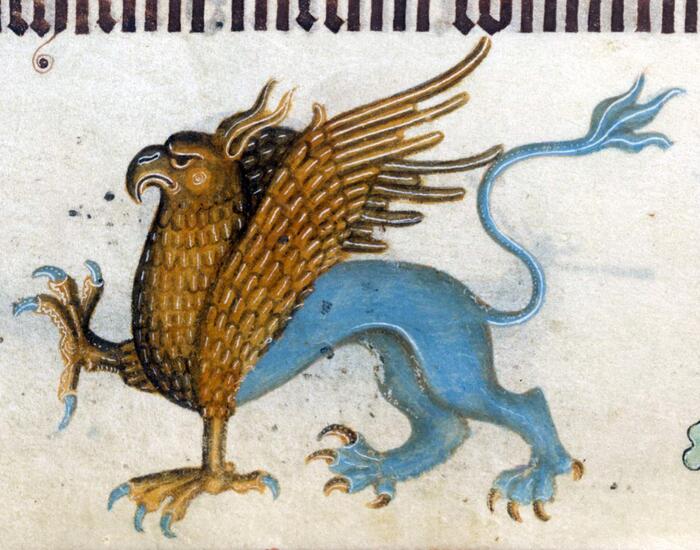 Грифон. "Псалтырь Латтрелла", Англия, ок. 1325–1340 гг. Британская библиотека.