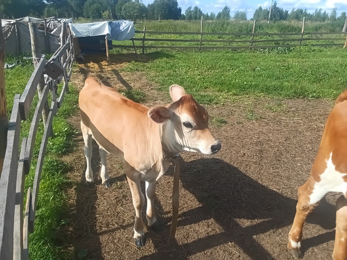 !   2   10 .       5 .    ,      ,    100 . 