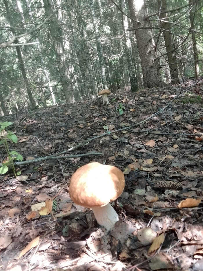    , ,  ,  ,  , , , ,  , 
