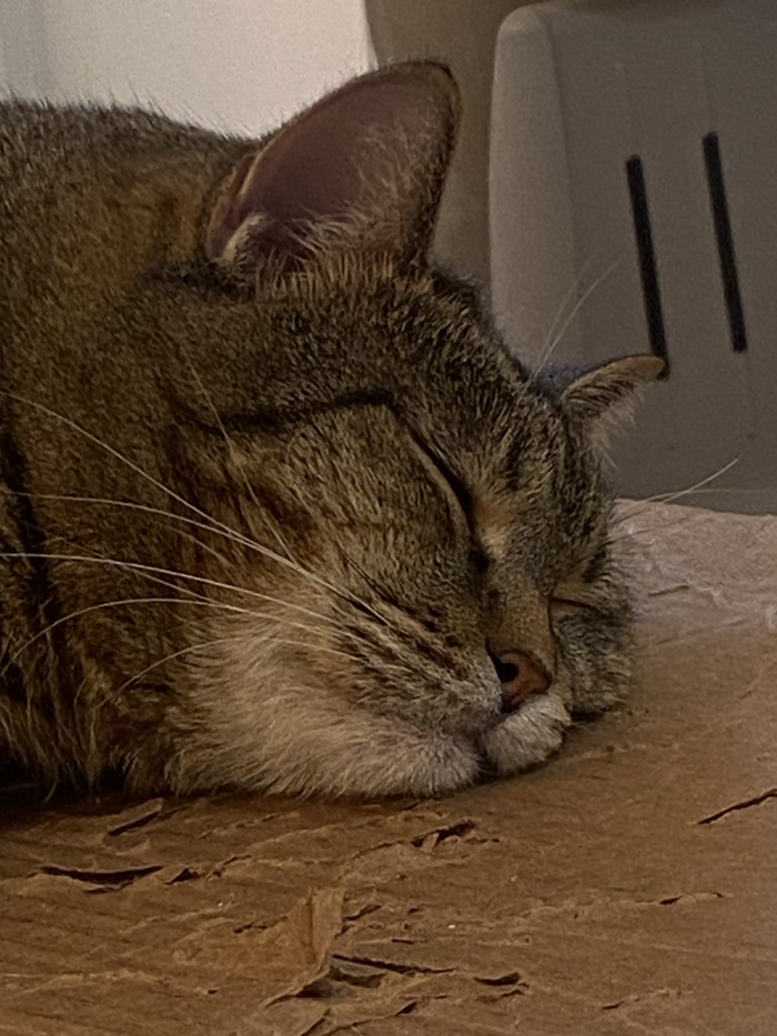  ,   , , , , ,  ,  , 