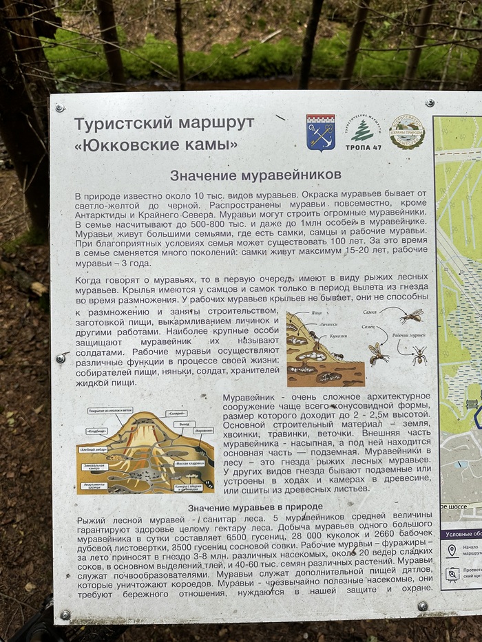 �������� � ���������