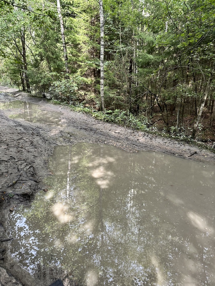 ����� �� ������