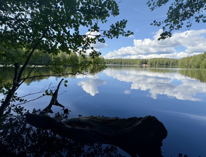 ��� �������� �����