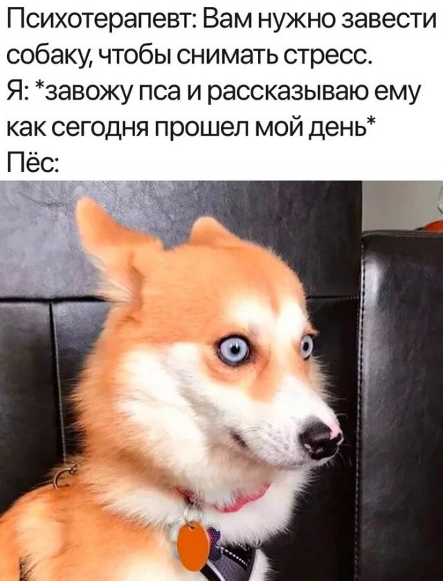  , ,   , , 