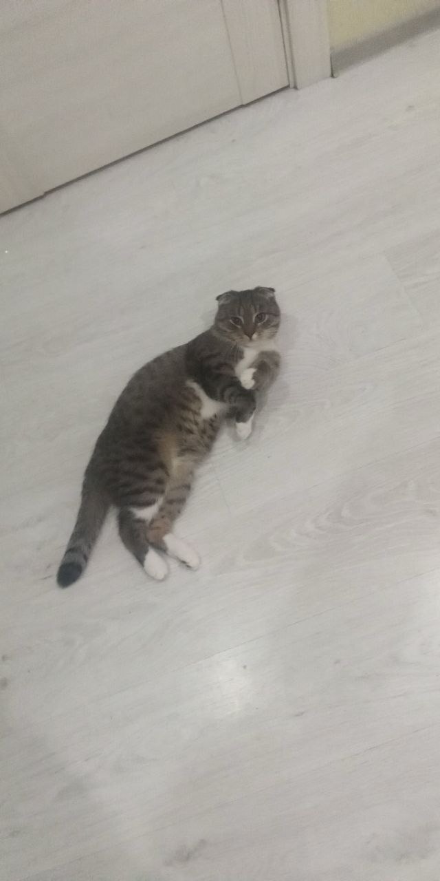  ,    :3 ,  ,  , , ,  ,  