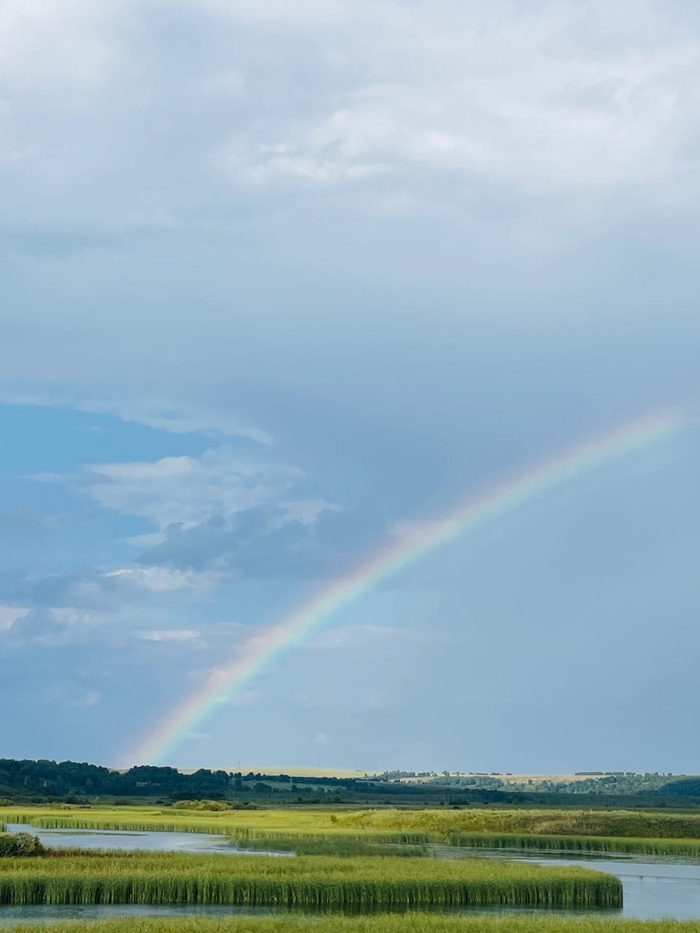 Rainbow , 