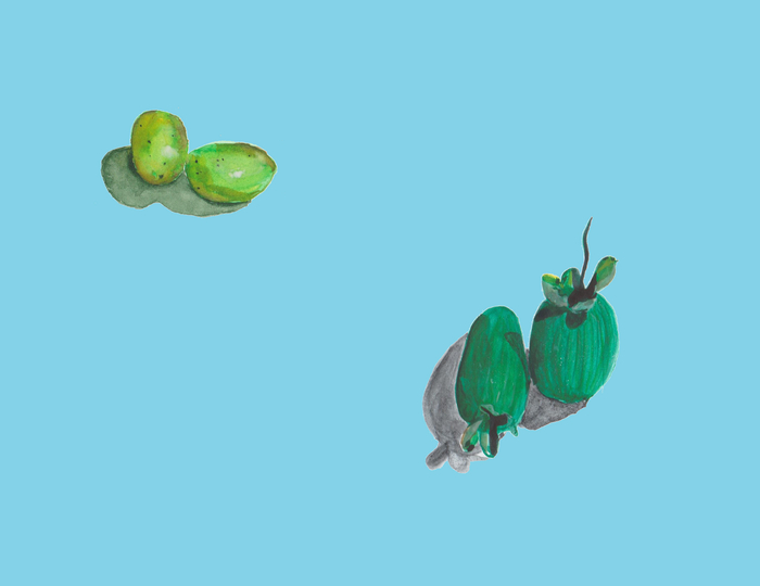  , Paint, 