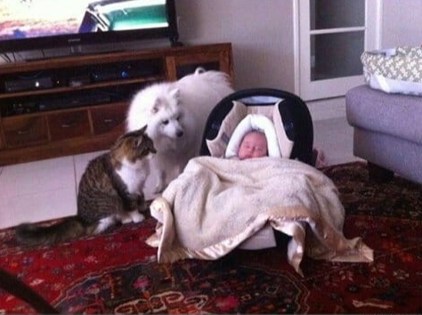 Они еще не знают что будет