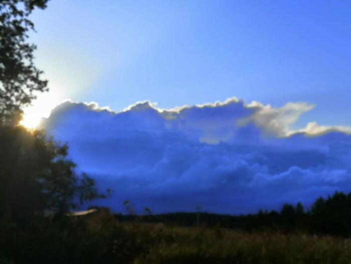 ���� ������� ���� ��� �����