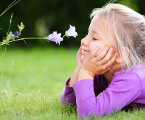 ������������� ��������