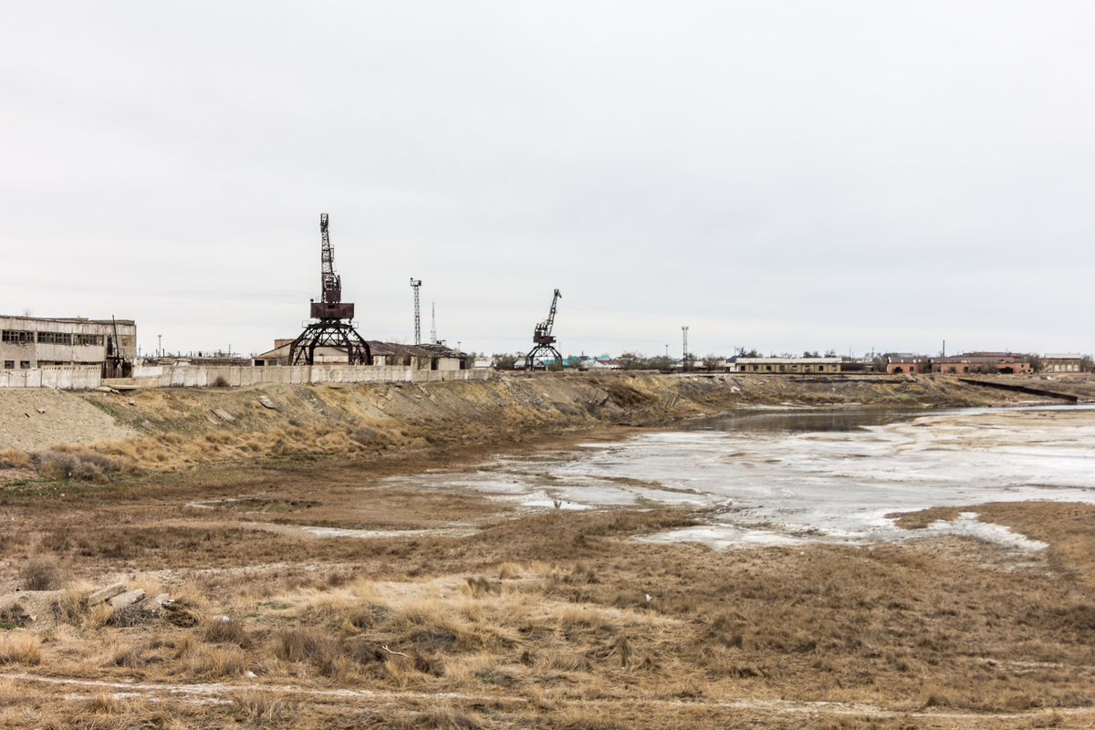 The Aral Sea: How did the water flow away, where did the fish go and is there hope? - Aral Sea, Desert, Nature, Animals, Wild animals, wildlife, Sea, A fish, Yandex Zen, Yandex Zen (link), Longpost