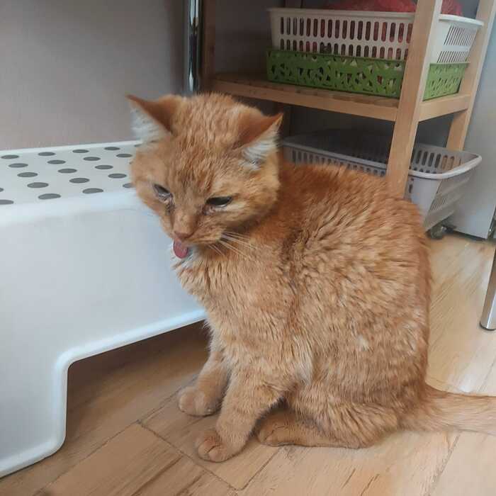        , ,  , ,  , , ,   