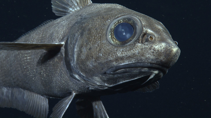 ,      ,    , ,   ,    ?