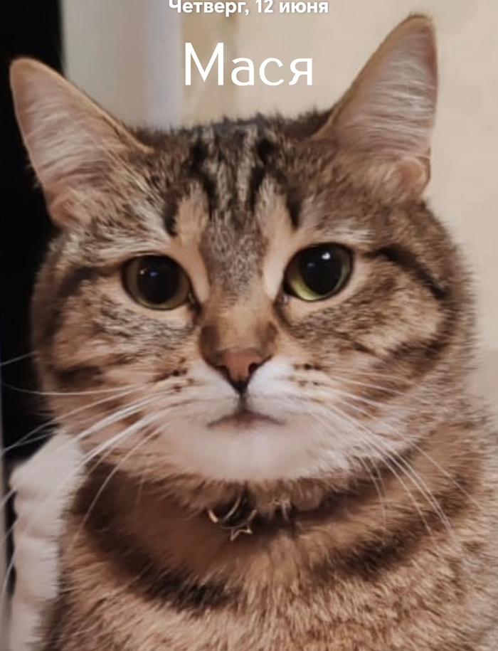    "" 507  , , , ,   , ,  , , 