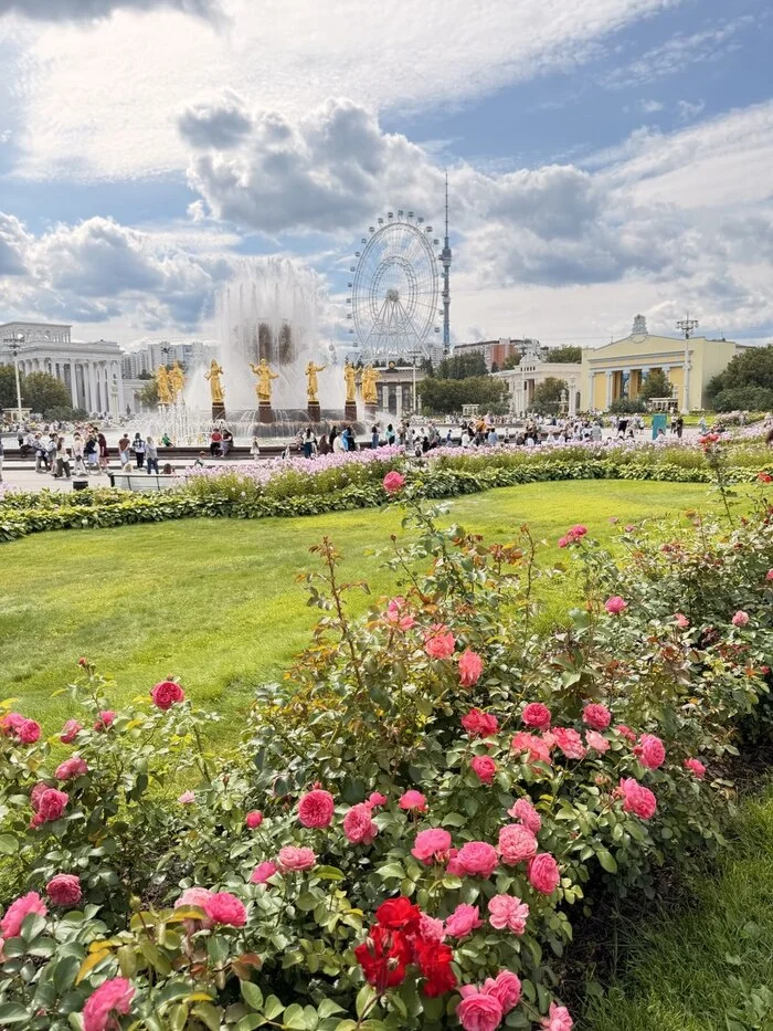 Дорогая селёдка Продукты, Селедка, ВДНХ, Цены, Еда, Торговля, Рыба, Экономия, Длиннопост