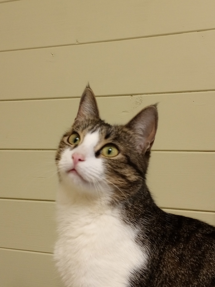  , ,    , ,  ,  , ,  