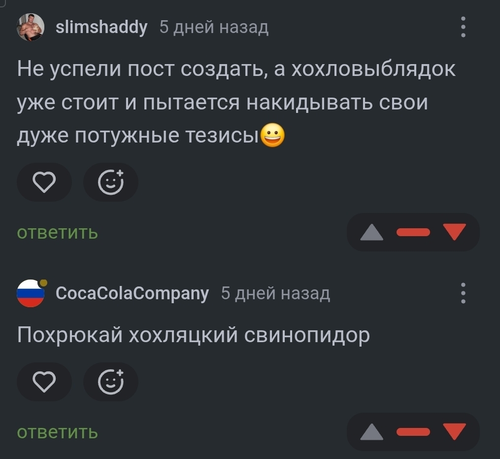 Ответ на пост «Позвольте представить - руководитель проекта по блокировке иностранных мессенджеров в РФ» - Блокировка, Юмор, Бабка, Интернет, Никому не нужен, Мемы, Зашакалено, Короткопост, Мат, Ответ на пост, Текст, Политика