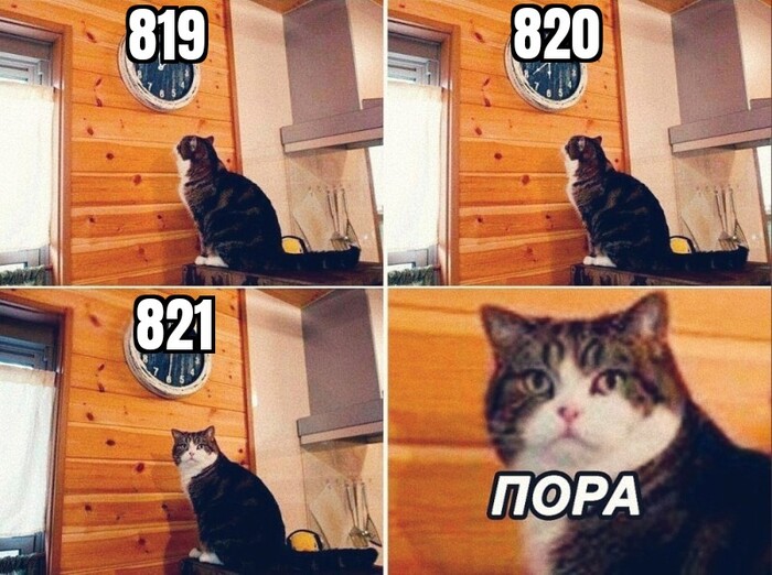 Ответ Nikolaich0488 в «У бывшего председателя Краснодарского краевого суда конфисковали активы на 13 млрд руб»