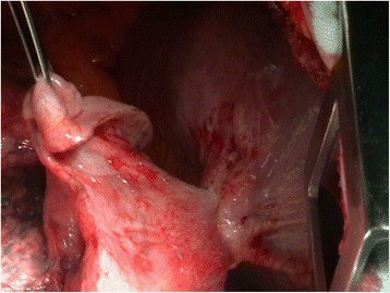 Figure 5.     .         ,   