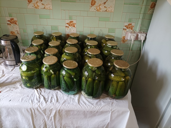 Огурцы маринованные