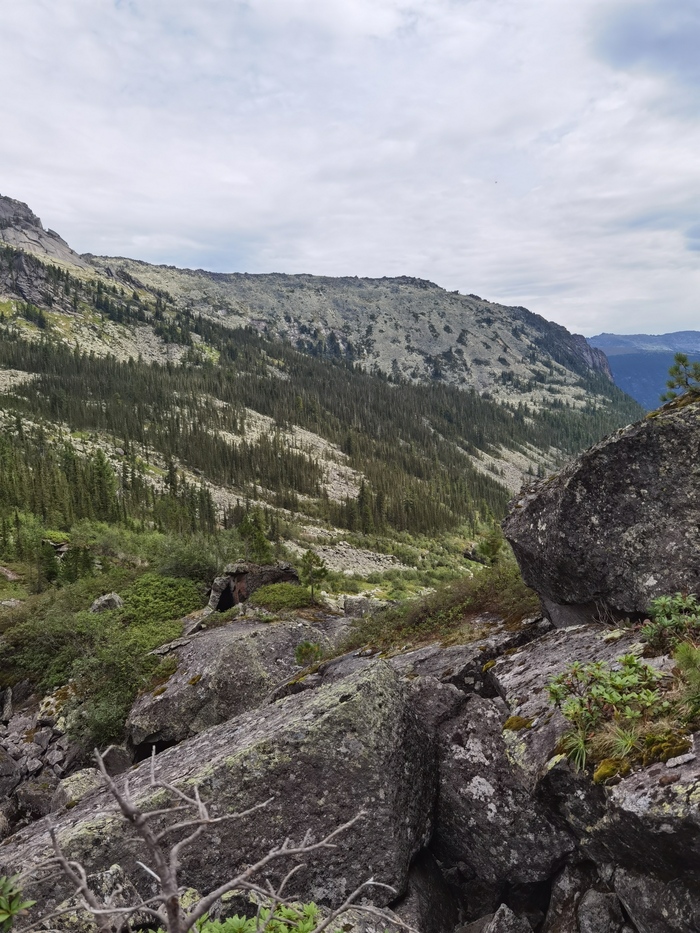 Очень хорошо бы вписался медведь, не так ли?