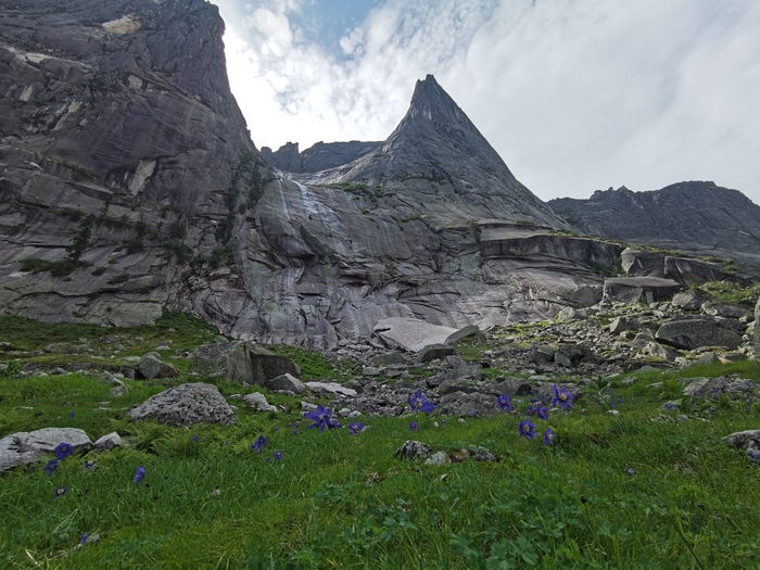 Псевдо парабола и цветочное поле