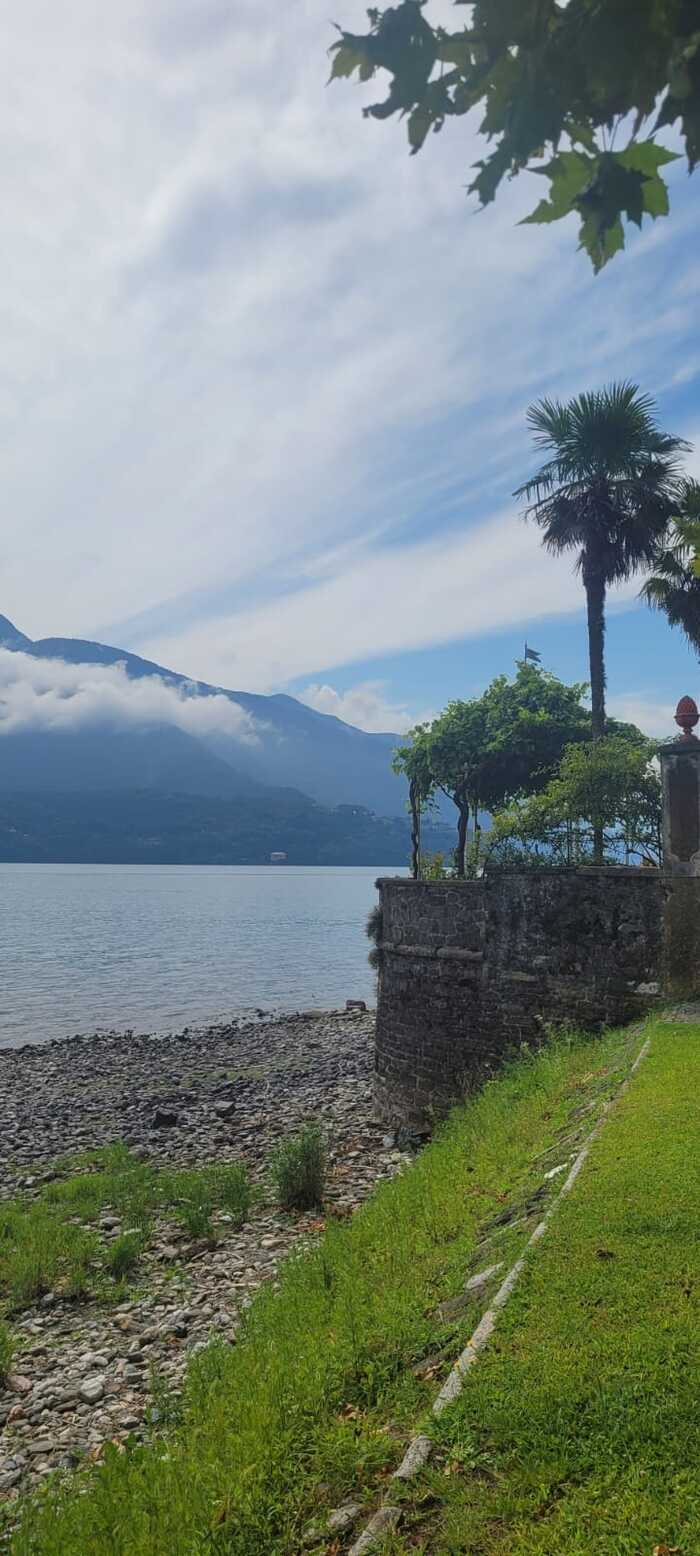 Интересная виноградная беседка - по каждой стойке поднимается по стволу винограда.