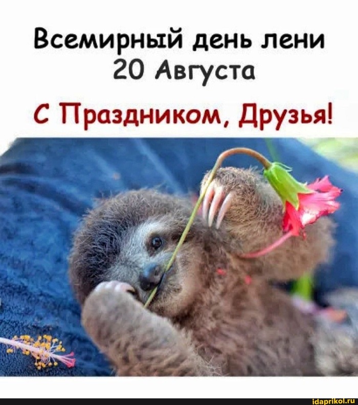    , ,   , , , 