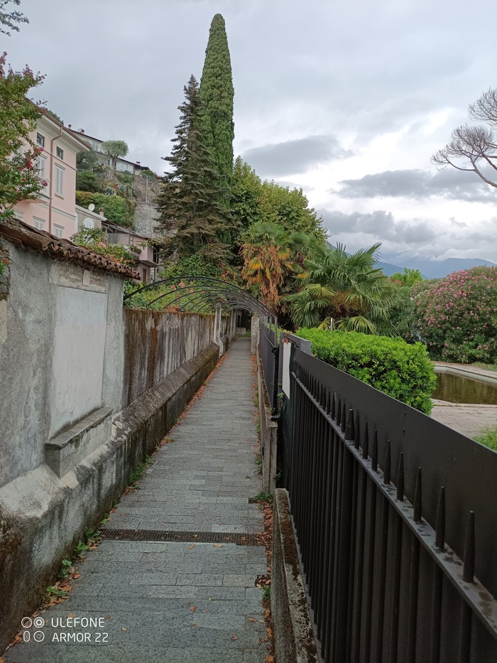 ,    ,     -,   - .      .