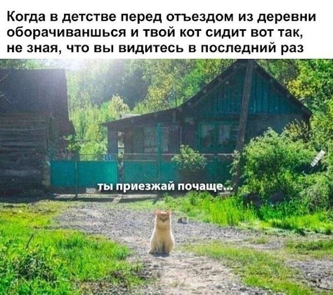 Последний раз