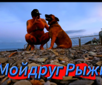 �������� �����