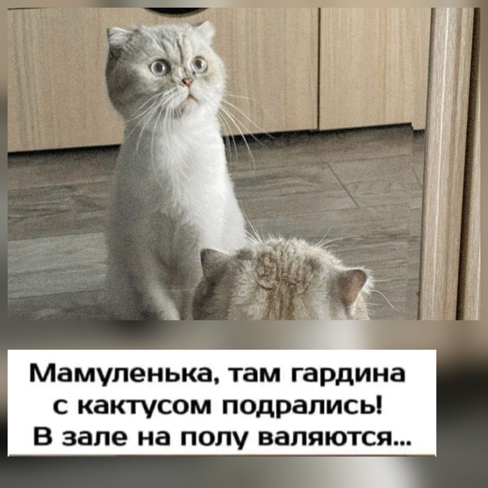 Ну и как такого наказывать?