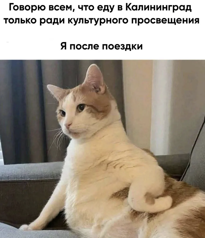    :       , , , , ,   , ,  