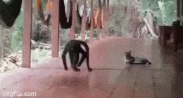     , , , , 