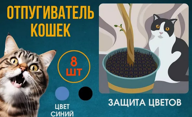       , , , ,   , 