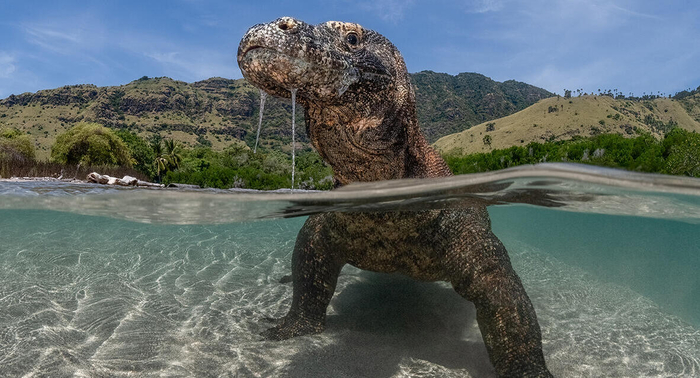 3.     ,    .    ( :  )