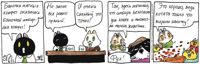    22.08.2025 , , ,   ()