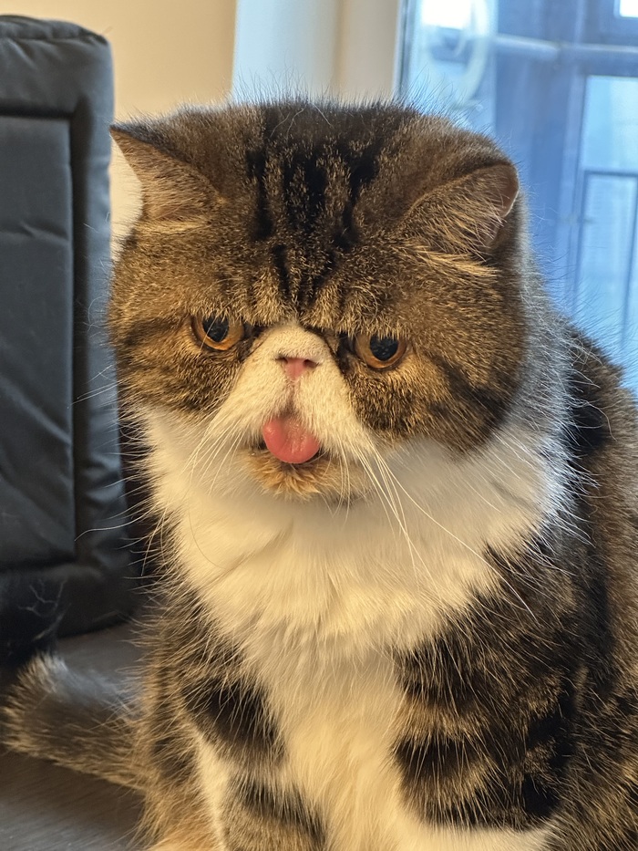        , ,  , ,  , ,  ,  , 