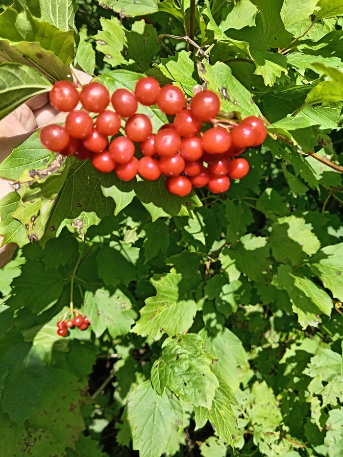 ����� �����. �� ����� ������