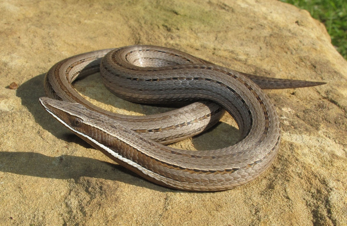 � ����, ��� ��� �� ��������� ������? � ��� �����, ������� � �������� ����� �������!