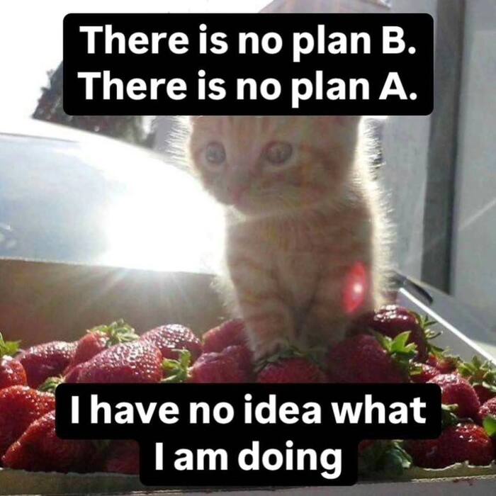     , , ,  ,   , , , 