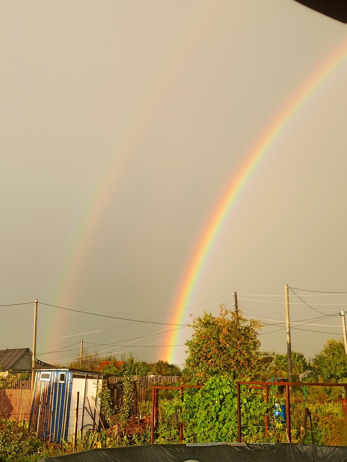 Rinbow , 